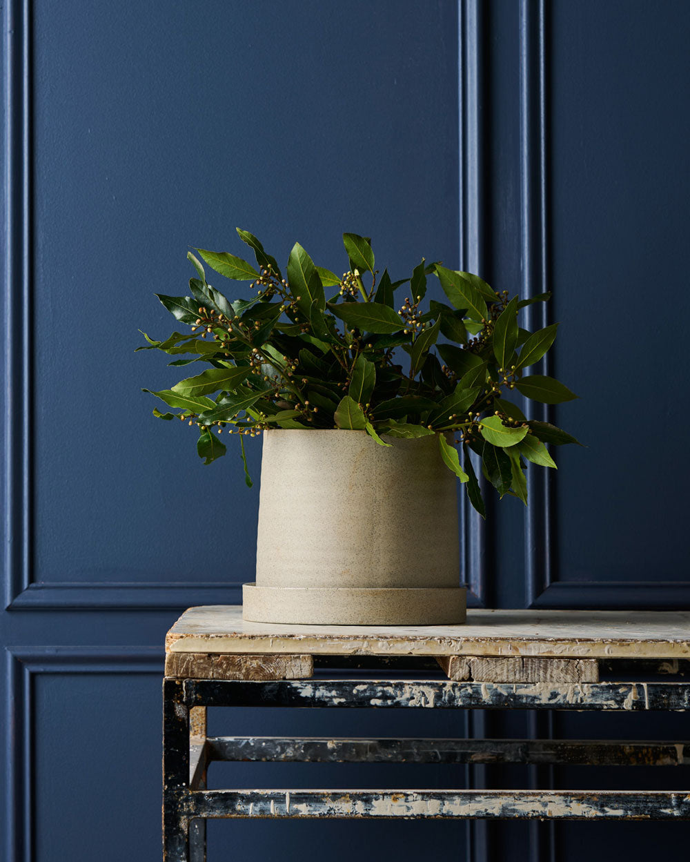 Robert Gordon Plant Pot -White Garden To Table